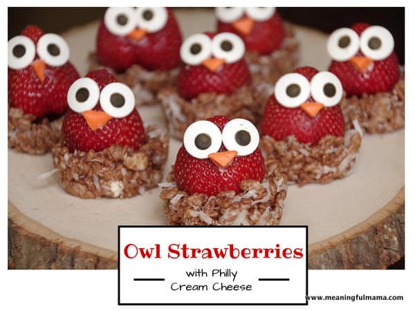 1-Owl-Strawberries-5-Philadelphia-cream-