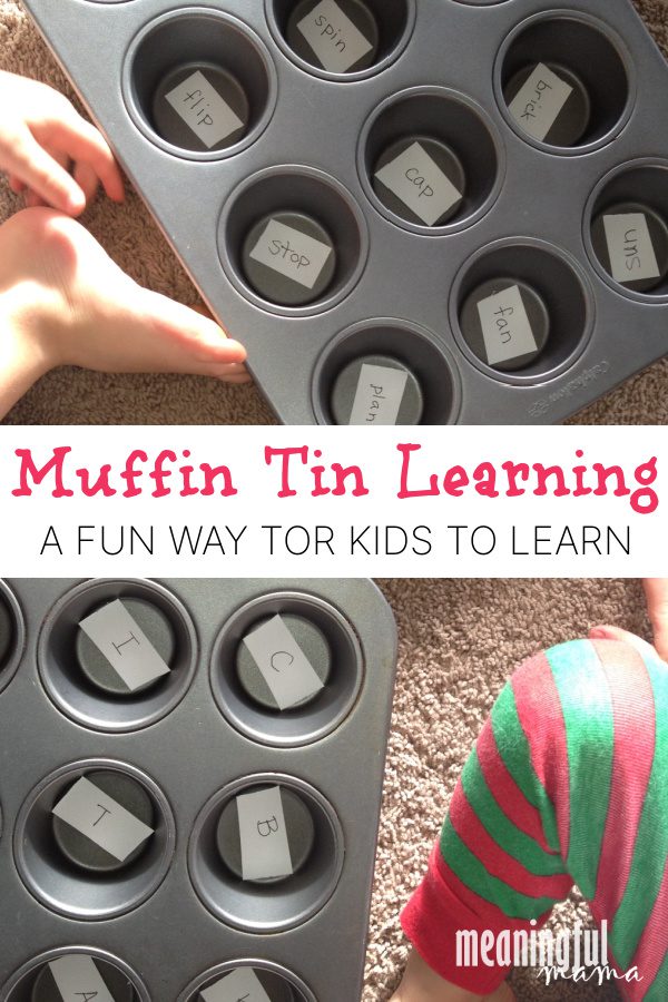 Muffin Tin Learning Game