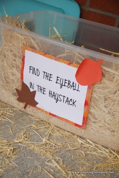 Find the Eyeball in the Haystack | Beanstalk Mums