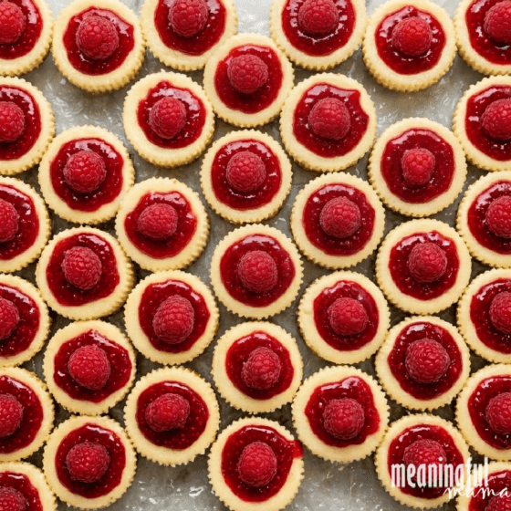 Mini Raspberry Cheesecakes with Nilla Wafer Crust