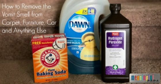 How to Remove the Vomit Smell from Carpet, Furniture, Car and Anything Else
