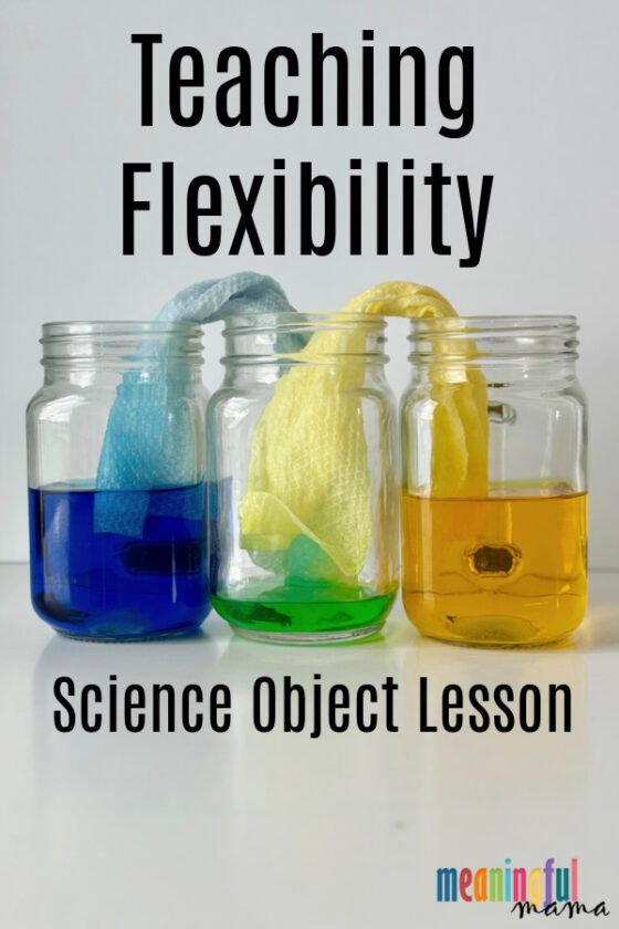 Science Object Lesson that Teaches Flexibility