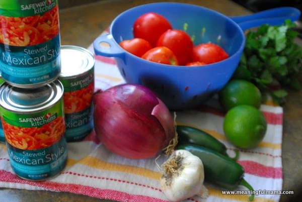 1-#salsa recipe #authentic #flavorful #tomatoes-001