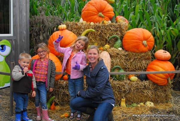 1-#pumpkin patch #corn maze #spooners-026
