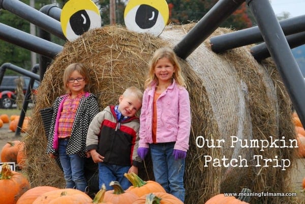 1-#pumpkin patch #corn maze #spooners-039