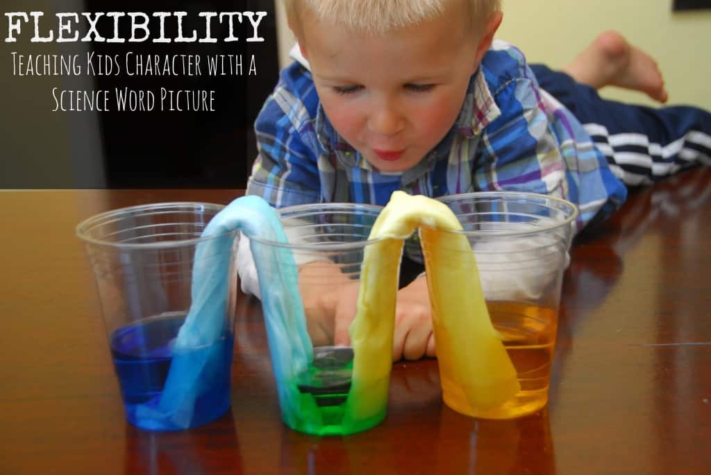 #flexibility #science experiment #absorbancy #kids
