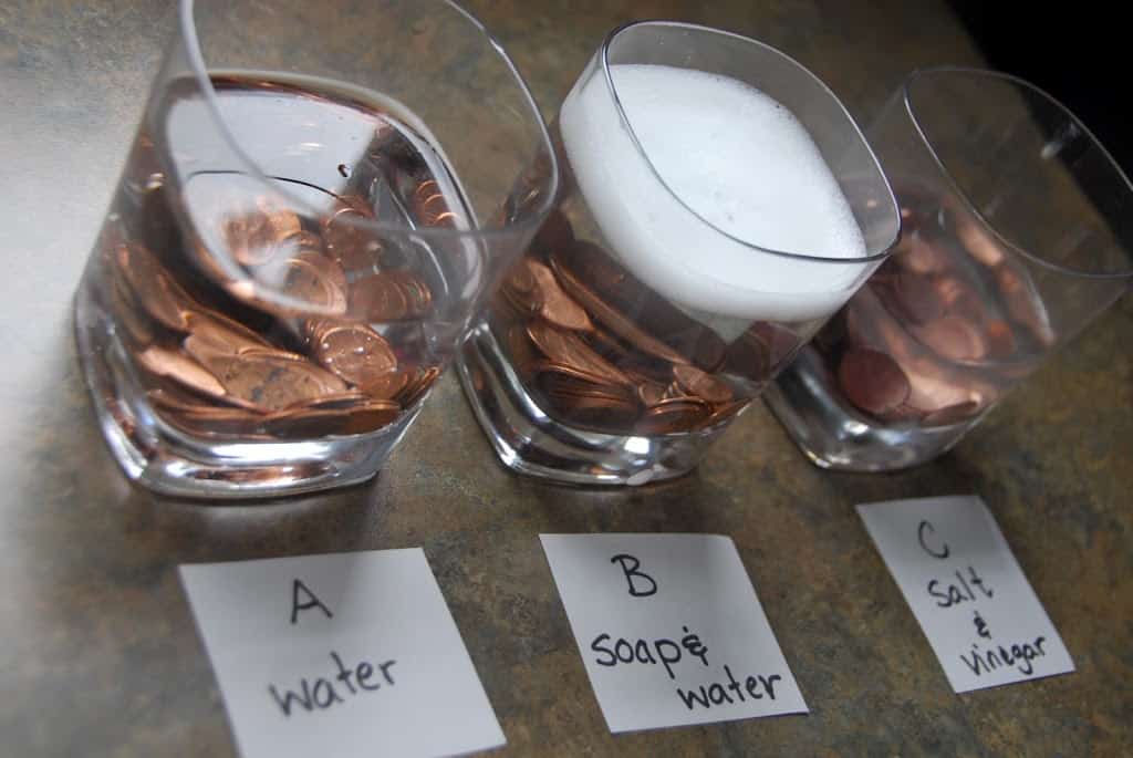 penny experiment