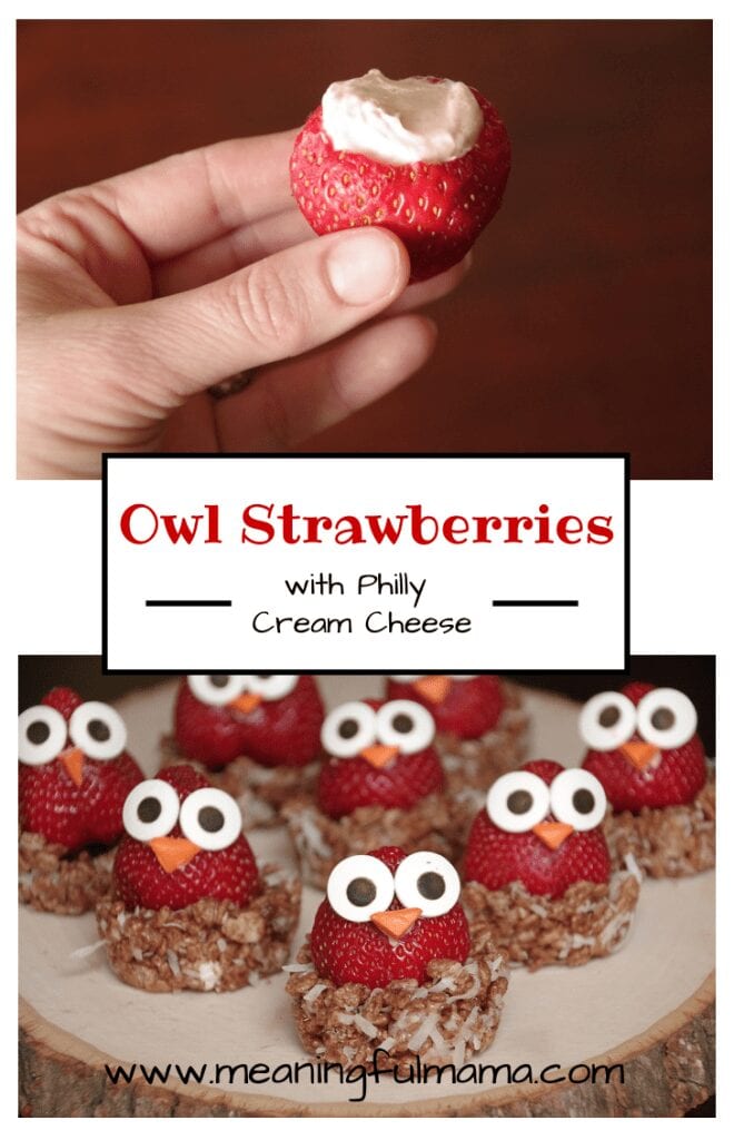 Owl Strawberries made with Philadelphia cream cheese - Meaningful Mama