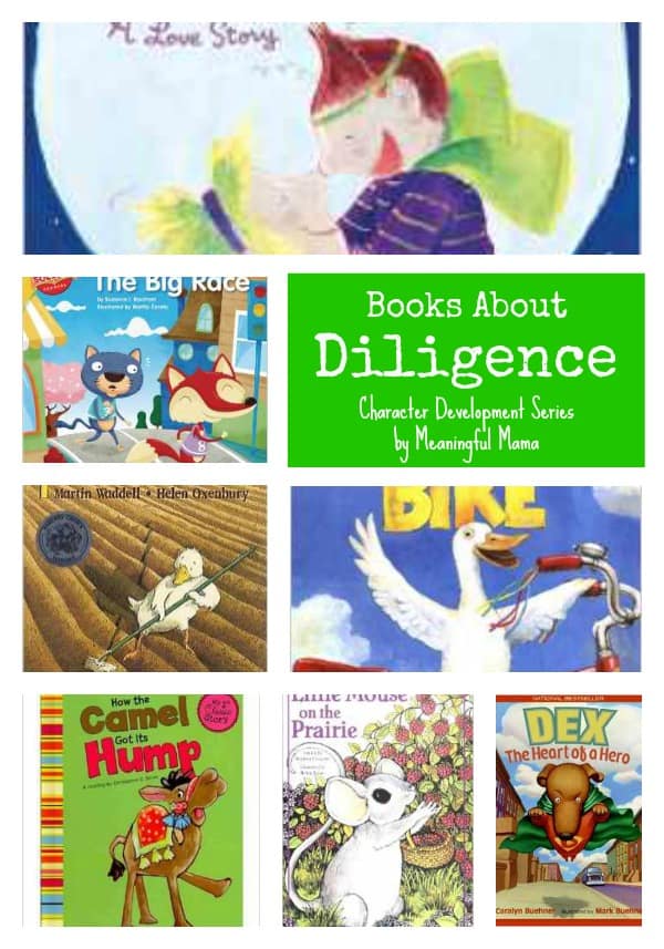 Books about diligence