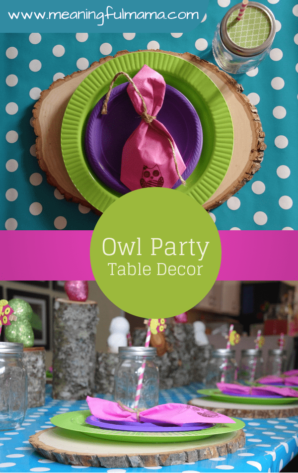 Owl Party Table Decorations