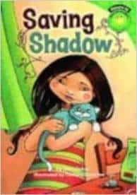 Saving Shadow Books about Responsibility