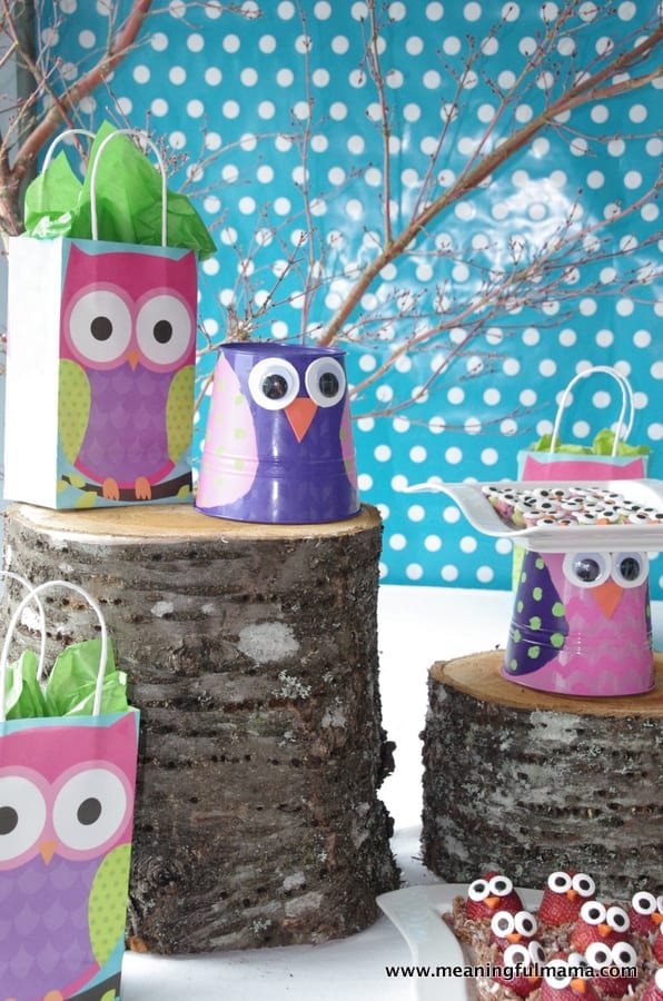 1-owl birthday party food decoration ideas kenzie 2014 Apr 5, 2014, 11-005