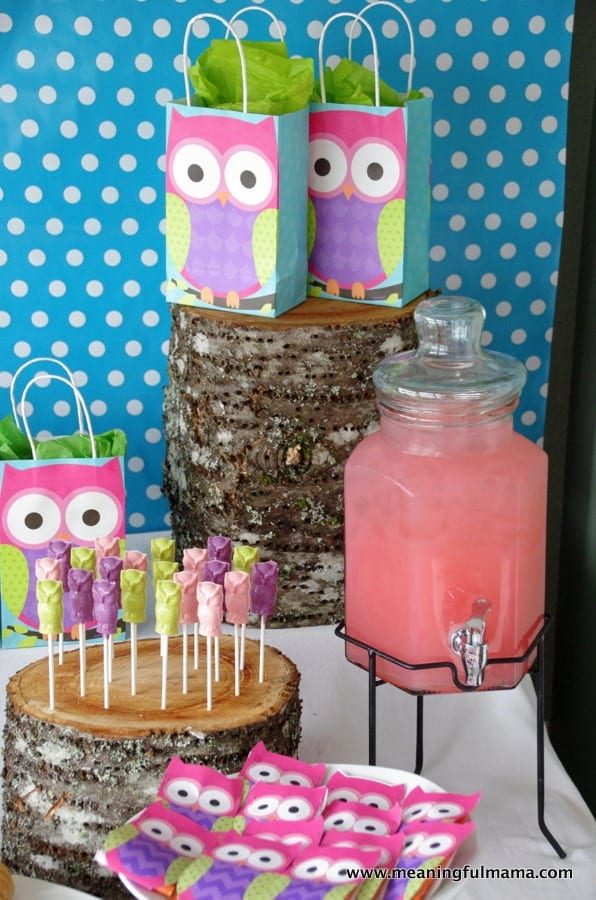 1-owl birthday party food decoration ideas kenzie 2014 Apr 5, 2014, 11-03 AM