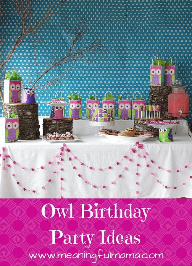 Owl Birthday Party Ideas