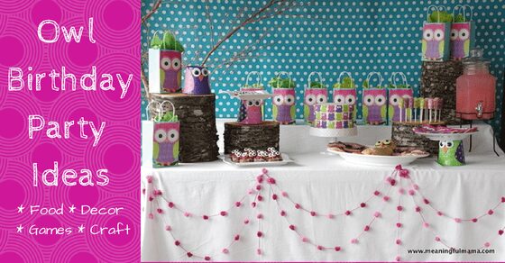 Owl BirthdayParty Ideas