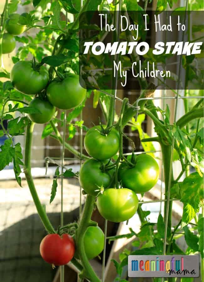 How to Tomato Stake Children - Parenting Strategies for Raising Kids