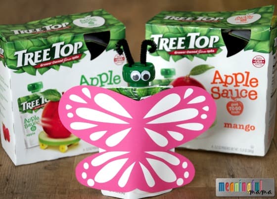 Tree Top Butterfly Pouches Apr 9, 2015, 3-33 PM