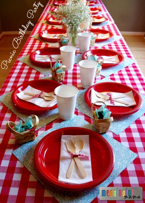 Picnic Birthday Party Ideas - Two Year Old Birthday
