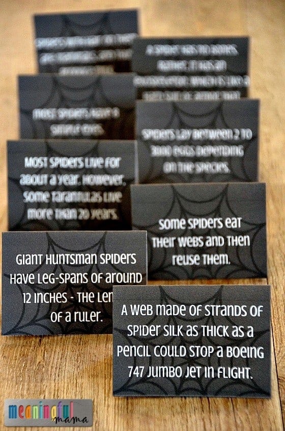 Spider Facts Printable for Halloween or Harvest Party Oct 16, 2015, 9-35 AM