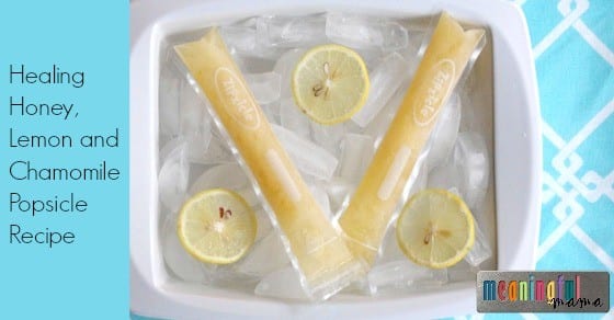 Healing Flu and Cold Popsicle Recipe