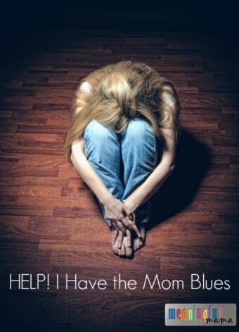 Help! I Have the Mom Blues