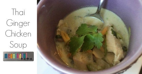 Thai Ginger Chicken Coconut Soup Recipe