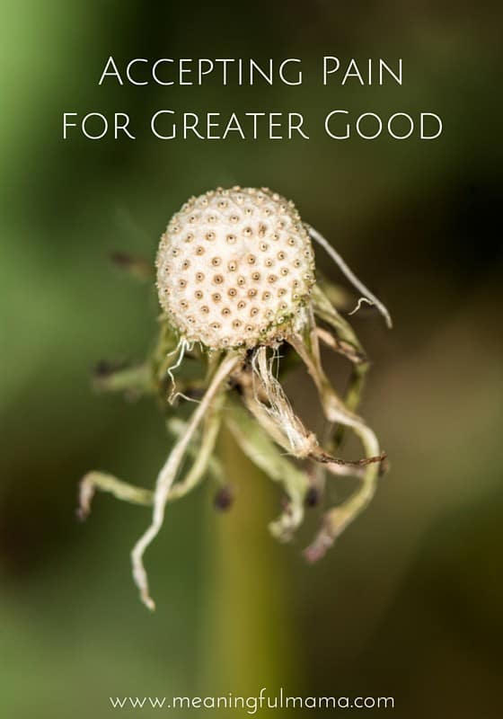 Accepting Pain for Greater Good