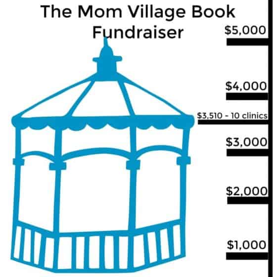 the-mom-village-book-fundraiser-chart