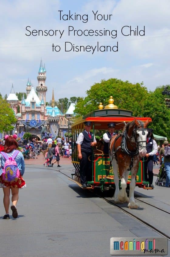 Taking Your Sensory Processing Child to Disneyland