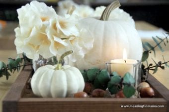 Contemporary Fall Centerpiece Idea with White Pumpkins