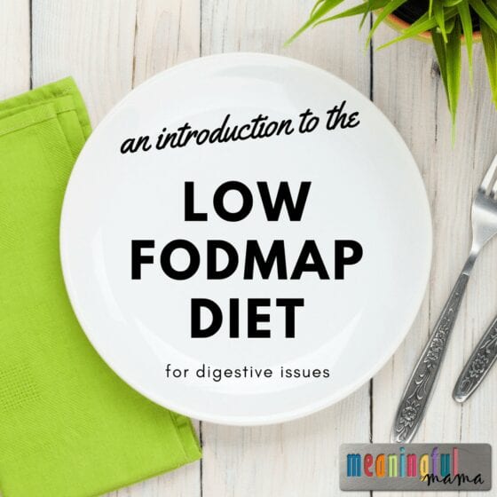 An Introduction to the Low FODMAP Diet for Digestive Issues