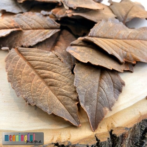 How to Make Easy Chocolate Leaves with a Video Tutorial