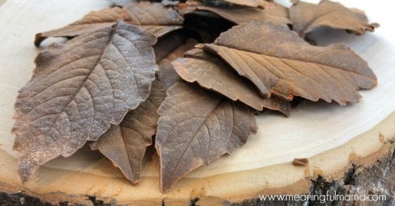 How to Make Easy Chocolate Leaves with a Video Tutorial