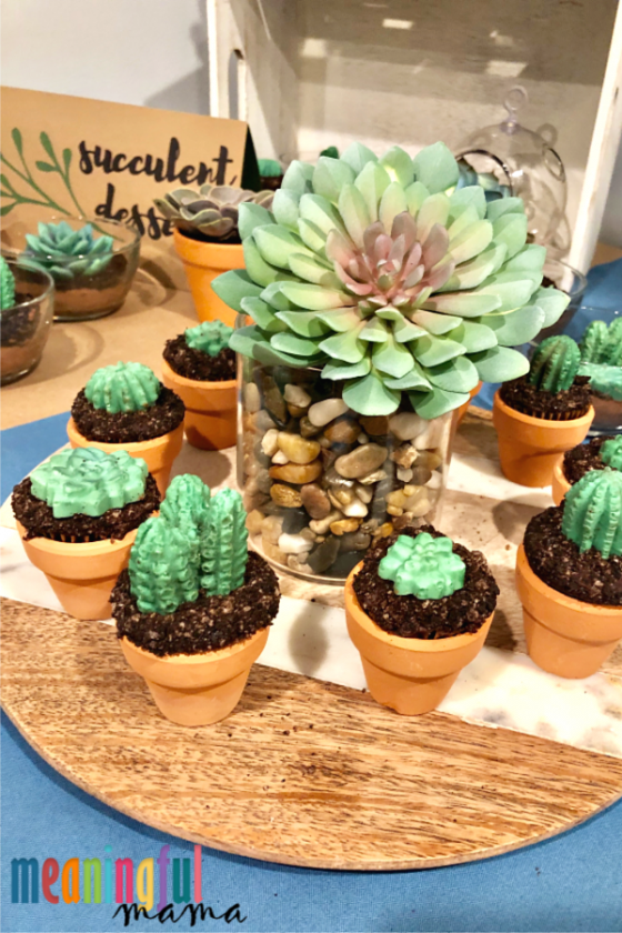 Succulent Cupcakes in Terra cotta pots.