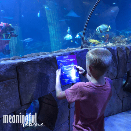 Legoland Sea Life Aquarium