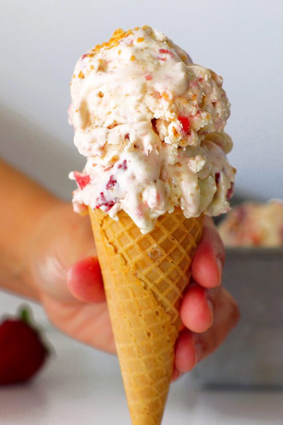 20+ Homemade Ice Cream Recipes