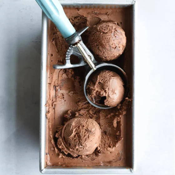 20+ Homemade Ice Cream Recipes