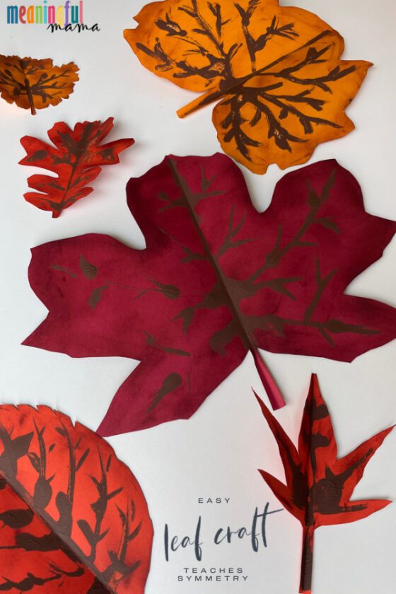 Easy Leaf Craft that Teaches Symmetry