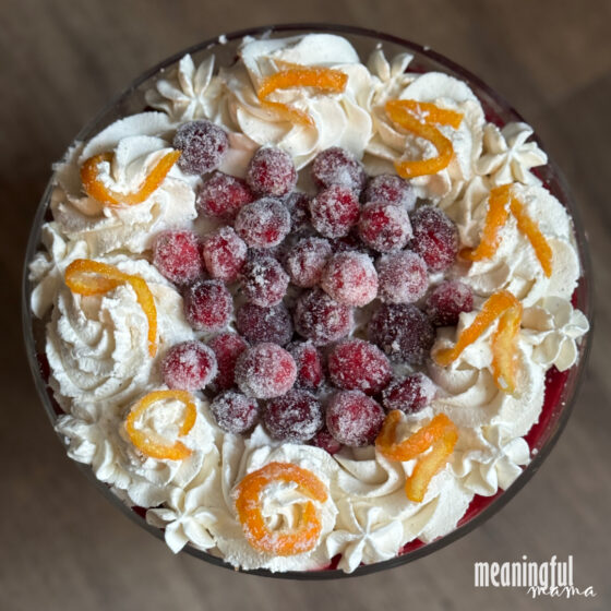 Orange and Cranberry Christmas Trifle