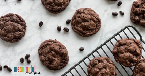 Best Chocolate Espresso Chip Cookies
