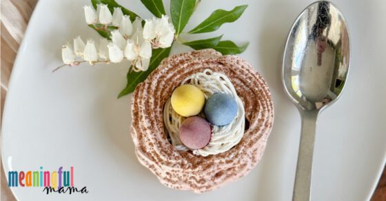 Bird's Nest Easter Pavlova Dessert